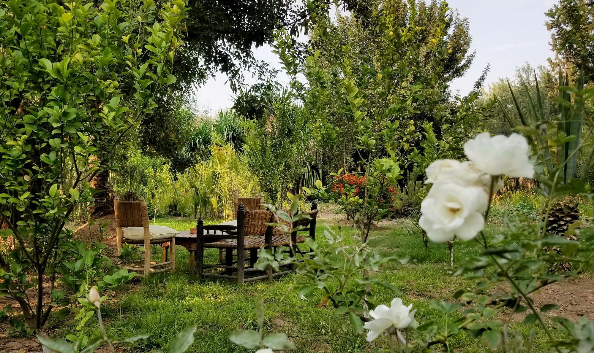 All Green House Marrakesh Ngoại thất bức ảnh