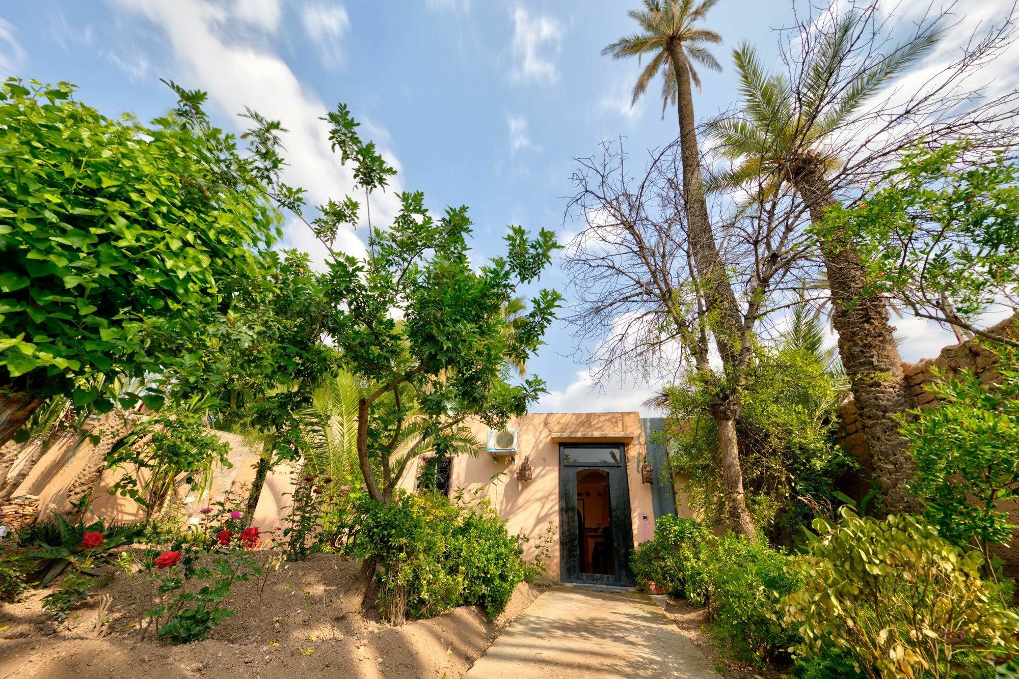 All Green House Marrakesh Ngoại thất bức ảnh